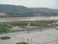 Primary 99.9%Magnesium ingot $0