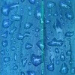 Printed Prepainted Steel Coil $0