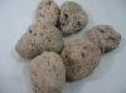 Pumice Stone $0