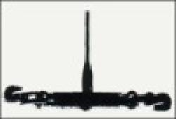 RATCHET TYPE LOAD BINDER $0