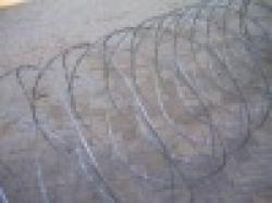 razor tape wire net $0