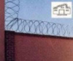 Razor Wire Concertina $0