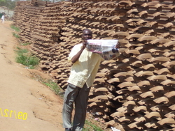 Re: Used Rails HMS 1 & 2 R30, R50 & R65 $1