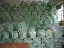 Recycled Sponge-1 $0