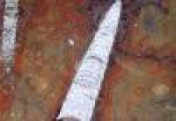 Red Fossil Imperial $0