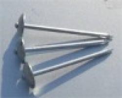 Roofing nails with umbrella head $0