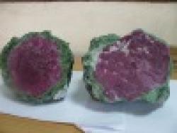 Ruby Block Zoisite $0