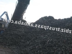 SHREDDED from CANADA $1