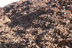 SHREDDED HMS & HMS 1 & 2 $1