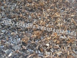 SHREDDED SCRAP CANADA $1