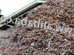 Shredded Scrap Isri-211 $1