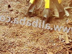 Shredded Steel Scrap $1