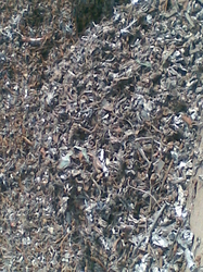 Shredded Steel Scrap $1
