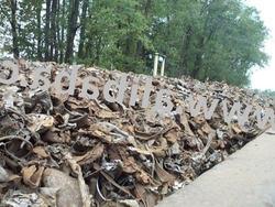 Shredded Steel Scrap $1