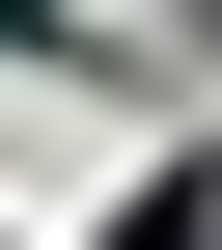 Shredded Steel Scrap $1