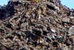 Shreded Steel Scrap $1