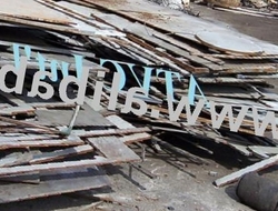 Skeleton & Mixed Plate $1