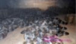 small coil galvanized iron wire $0