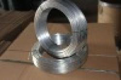 Small Roll Galvanized Wire( ISO 9001 factory exporter) $0