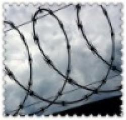 STAINLESS STEEL RAZOR BARBED WIRE $0
