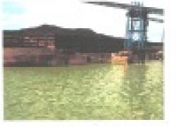 Steam Coal 6361/5856/5553 $0