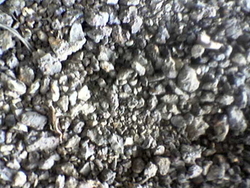 Steel Gas Cutting $1