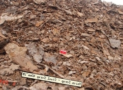 Taiwan Steel Scrap