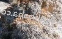 Steel Tire Wire Scrap $20.per Ton $1