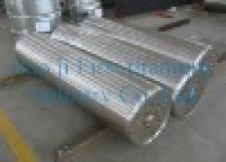 Titanium ingots GR1 $0