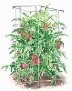 Tomato Spirals Plant Support $0