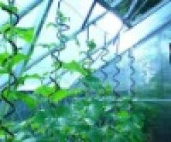 Tomato support iron wire $0