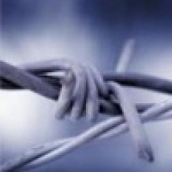 Traditional Twist Barbed Wire $0