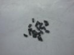 tungsten carbide saw tips $0