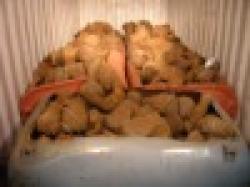 Used Iron Drilling pit with carbite tip $0