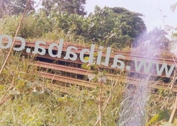 Used Rail R50-R65 Available for immediate Export to Any Safe World Port. $1