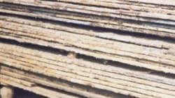 We sale Scrap Ship Plates $1