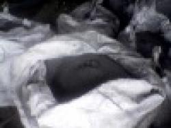 Zinc Powder > Zn Content 28% Minimum. $0